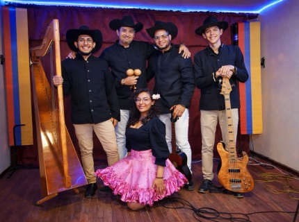 artistas llano en clave