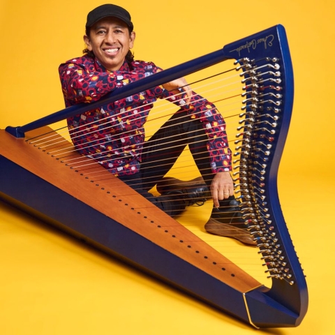 Edmar Castañeda con arpa